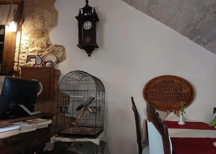 호텔 Valide Hanim 3*